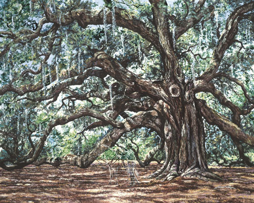 angel oak