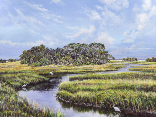 carolina lowcountry