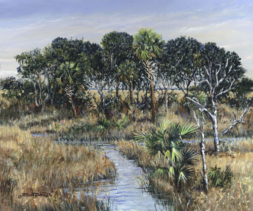 coastal marsh