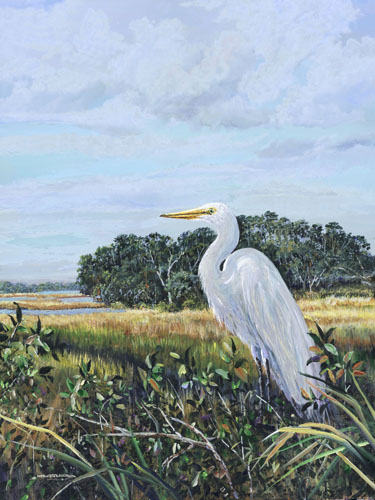 lowcountry egret