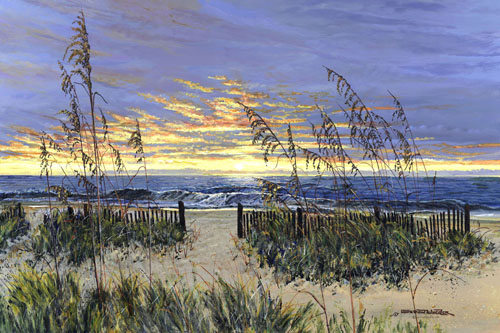 sunrise on the dunes