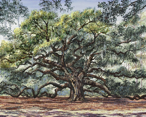 the angel oak