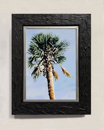 palmetto x