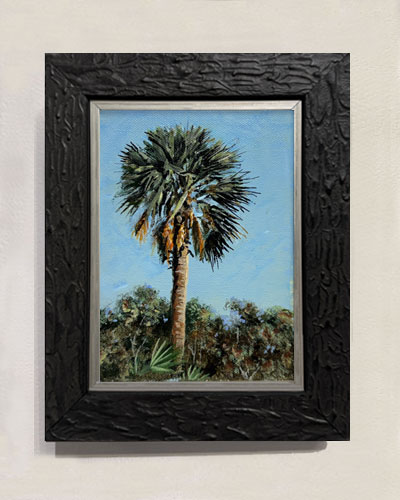 palmetto xi